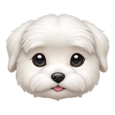 cute white Maltese puppy sticker