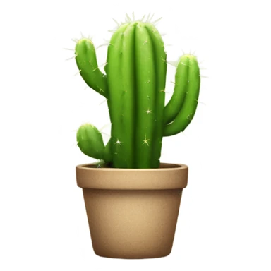 new cactus in collection, with star sticker