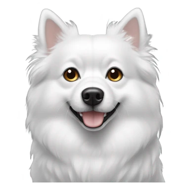 Black and White  spitz nain with a Vairon eyes sticker