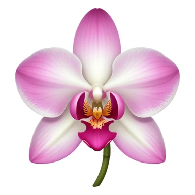 White orchid with pink middle sticker