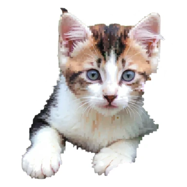 Kitten lying among flowers sticker