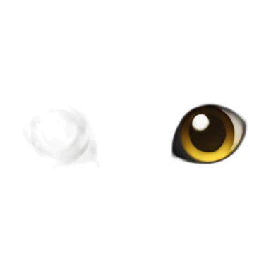 Black and white cat together sticker