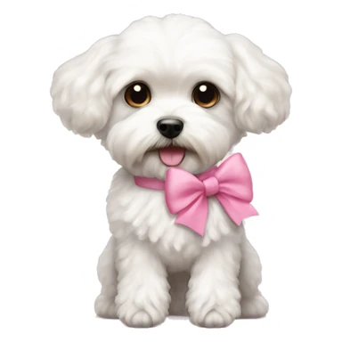 A White maltipoo with long legs pink bow and teddy bear cut  sticker