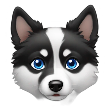 Pomsky black & whire blue eyes sticker
