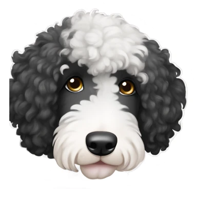 merle black Sheepadoodle with both eyes black fur sticker