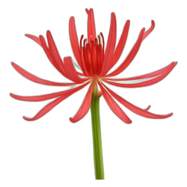 Red Spider Lily Flower sticker
