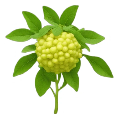 bergamot sticker
