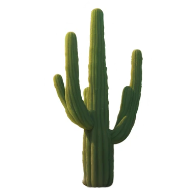 Saguaro sticker