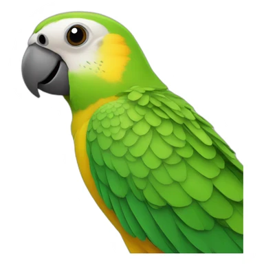 senegal Parrot sticker