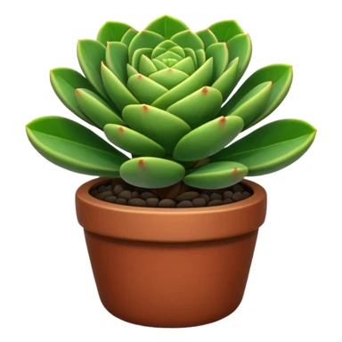 CRASSULA
 sticker