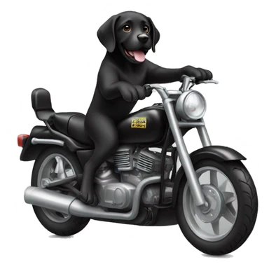 cool black lab riding motorbike sticker