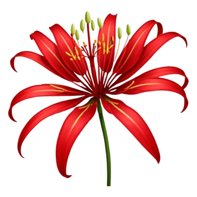 Red spider lily sticker