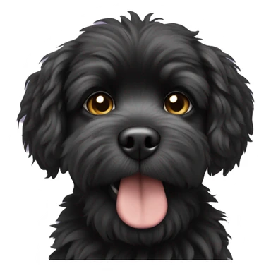 small fluffy black dog with dog out sticker