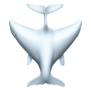 white whale , underside sticker