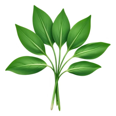 single sprig or small cluster of wild garlic leaves with smooth, elongated, lance-shaped blades, rich vibrant green color, soft central veins, fresh slightly glossy surface, gently arching from slender stems, no roots, no soil, no extras, apple emoji style, soft lighting, subtle shadows, emoji scale sticker