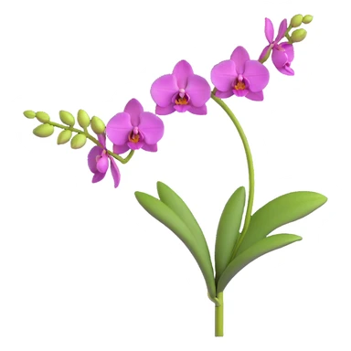Realistic single orchid stem with multiple flowers arranged along one elegant arching stalk with green leaves sticker
