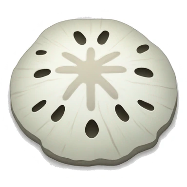 sand dollar sticker