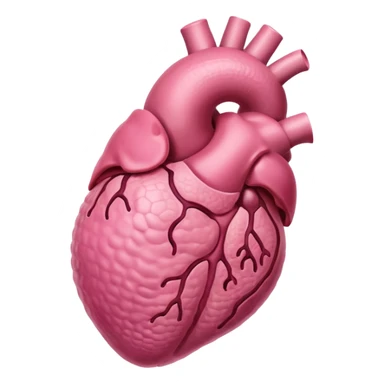 male reproductive organ sticker