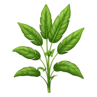 Plantain herb sticker