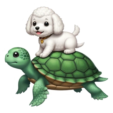 Bichon riding a turtle sticker