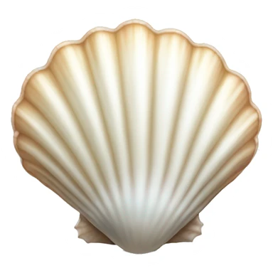 white-scallop-seashell sticker