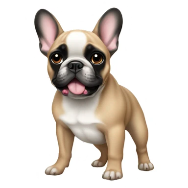 Fawn French bulldog with black face sticker