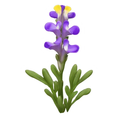 Clovenlip toadflax flowers sticker
