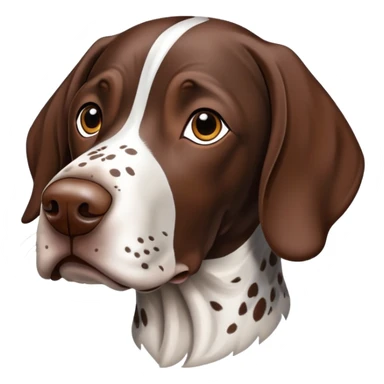 German shorthaired pointer sticker
