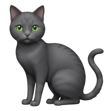 full body view of beautiful female solid dark grey cat with green eyes, grey face, white toes/paws and small white patch on her chest sticker