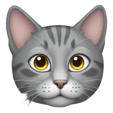 gray cat peaking between sticker