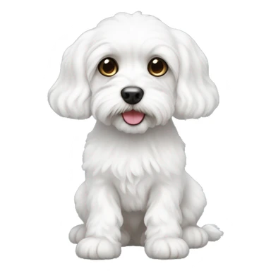 white cavachon sticker