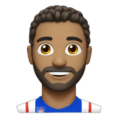 Olympique lyonnais sticker