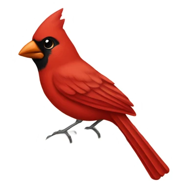 Cardinal bird sticker
