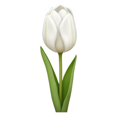White tulips  sticker