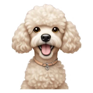 mini white albaricoque poodle smiling  sticker