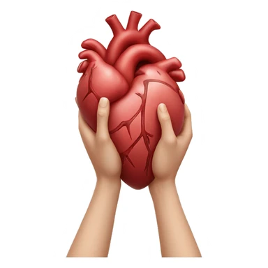 Two hands holding a anatomical heart very carefully  sticker
