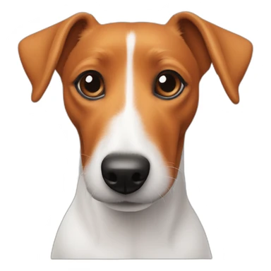 Jack russel and teckel mix fully orange only belly is white sticker