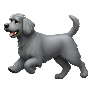 Gray Bouvier des Flanders with a docked tail and cropped ears running toward me sticker