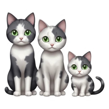 3 different coloured small cats including a dark grey and white, and a patchy calico and a completely solid dark grey with green eyes and only white paws sticker