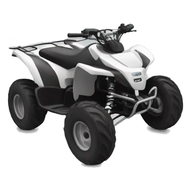 sport quad sticker