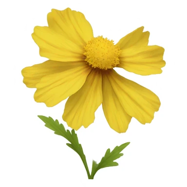 yellow coreopsis flower sticker