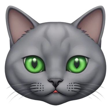 grey British cat sticker