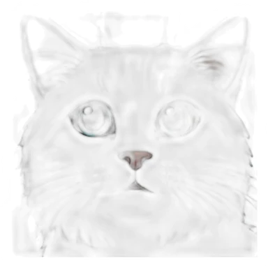 NASA cat Space  sticker