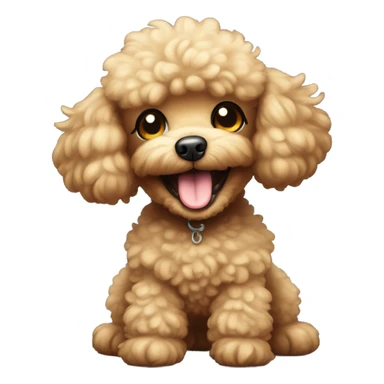 Toy poodle smiling face sticker