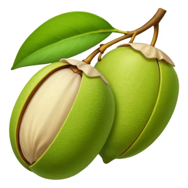 pistacho dubai sticker