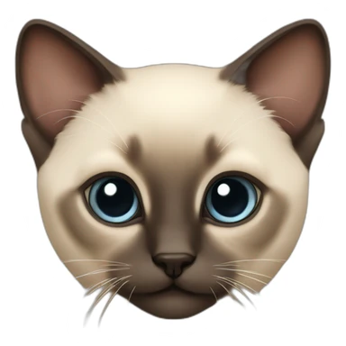 Siamese kitten sticker