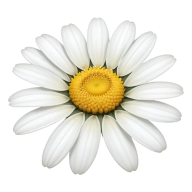 One white daisy flower sticker