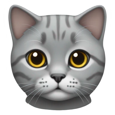 Scottish fold grey cat  sticker