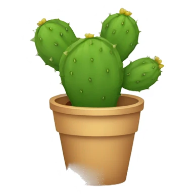 single flat Nopal without pot sticker