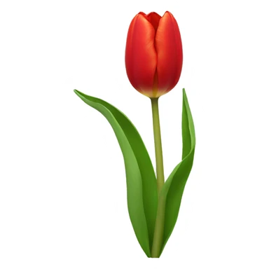 red tulip sticker